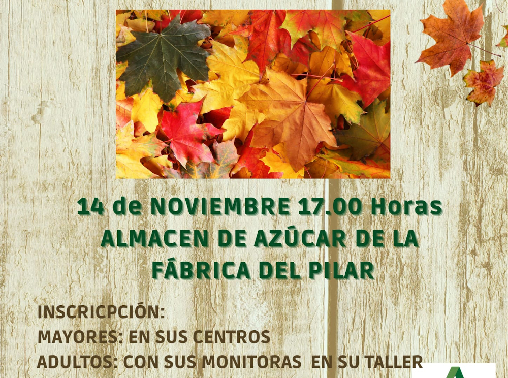 Los mayores de Motril celebrarán la fiesta de otoño con una tradicional castañada